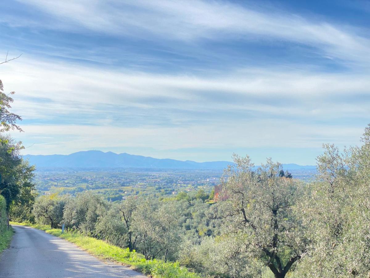 Leonardo Da Vinci - Appartamento Nel Verde Con Parcheggio E Wi-Fi Exterior photo